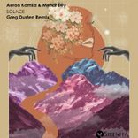 Artwork for "Solace"