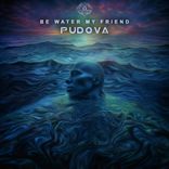 Artwork for "Be Water My Friend"