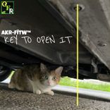 Artwork for "Key to Open It"