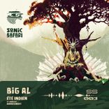 Artwork for "Été Indien"