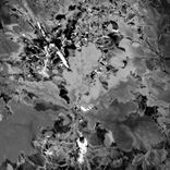 Artwork for "Indie Car"