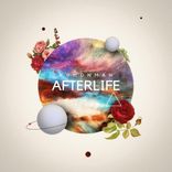 Portada para "Afterlife"