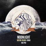Artwork for "Moonlight (Victor Pilava Remix)"