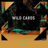 Artwork for "Wild Cards 05"