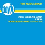 Artwork voor "Double Edged Sword"