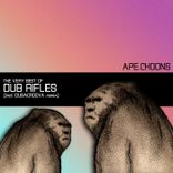 Artwork voor "Best of Dub Rifles"