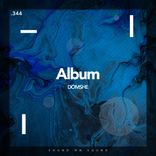 Artwork voor "Album"