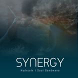 Artwork for "Synergy"