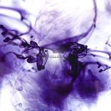 Artwork für "Cuidad De Luz"