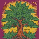 Artwork for "Indica"