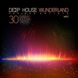 Artwork voor "Deep House Wunderland (Groovy Master Pieces), Vol. 2"