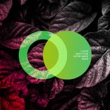 Artwork for "Back to Me"