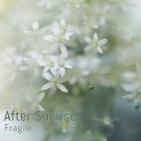 Portada para "Fragile"