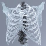 Artwork for "To Trajadão (Extended Mix)"