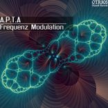 Portada para "Frequenz Modulation"