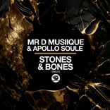 Artwork for "Stones & Bones"