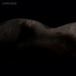 Take The Money & Run