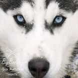 Artwork for "Sarcastic"