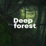 Portada para "Deep In The Forest"