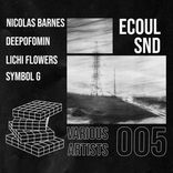 Artwork for "ECOUL SND V.A 5"