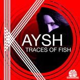 Artwork for "Traces Of Fish"
