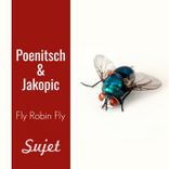 Artwork for "Fly Robin Fly"