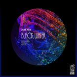 Portada para "Black Water"