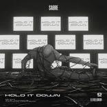 Artwork for "Hold It Down"