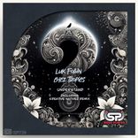 Artwork voor "Understand"