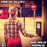 Artwork for "Big Wild World (The Remixes)"