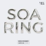 Artwork for "Soaring"