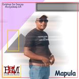 Artwork for "Mapula"