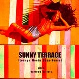 Artwork voor "Sunny Terrace (Lounge Meets Deep House), Vol. 4"