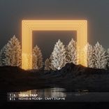 Artwork voor "Can't Stop Me"