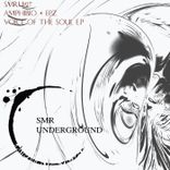 Artwork for "Voices Of The Soul"