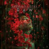 Artwork for "RAW"