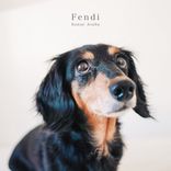 Artwork for "Fendi"