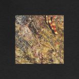 Artwork for "Third in Line Remixes"