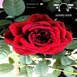 Artwork für "Disco Amigo"