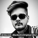 Artwork für "Blackorb"