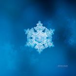 El Circulo De La Vida