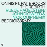 Artwork for "The Rebirth (Remixes)"