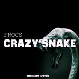 Artwork voor "Crazy Snake"