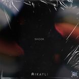 Artwork voor "Shook"