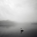 Artwork for "Silence"