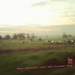 Artwork for "Der Urknall war ein Inside Job"