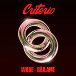Artwork for "Bailame"
