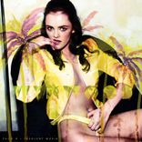 Portada para "Wynwood"