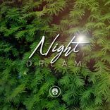 Artwork voor "Night Dream"