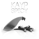 Artwork voor "Spicy"